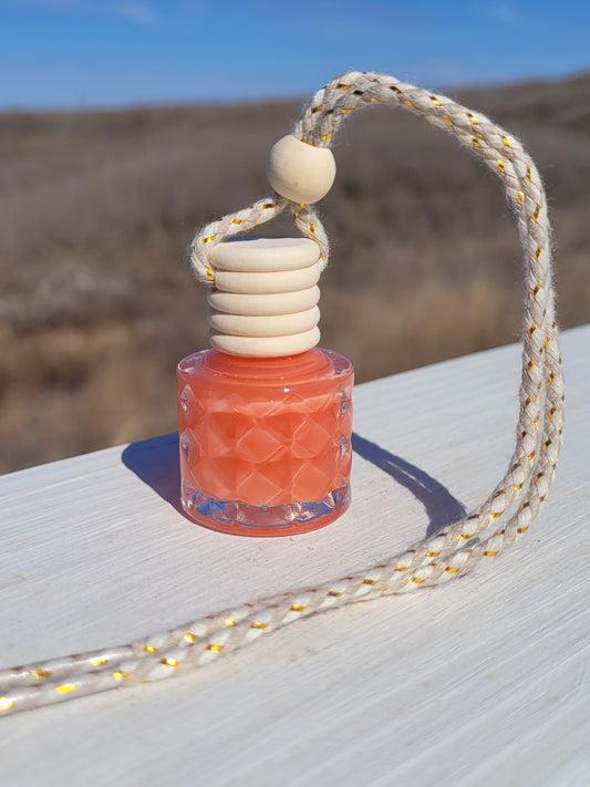 My Version of A Thousand Wishes Diffuser, Hanging, Vent Clip, Air Freshener, Aromatherapy, Essential Oil